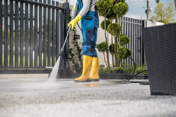 Best Driveway Cleaning and Restoration in Mertzon, TX
